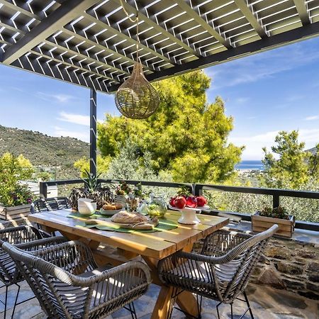 סקופלוס טאון Villa Politimi Luxury Retreat מראה חיצוני תמונה