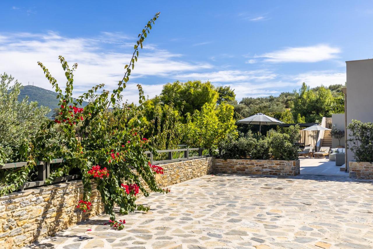 סקופלוס טאון Villa Politimi Luxury Retreat מראה חיצוני תמונה