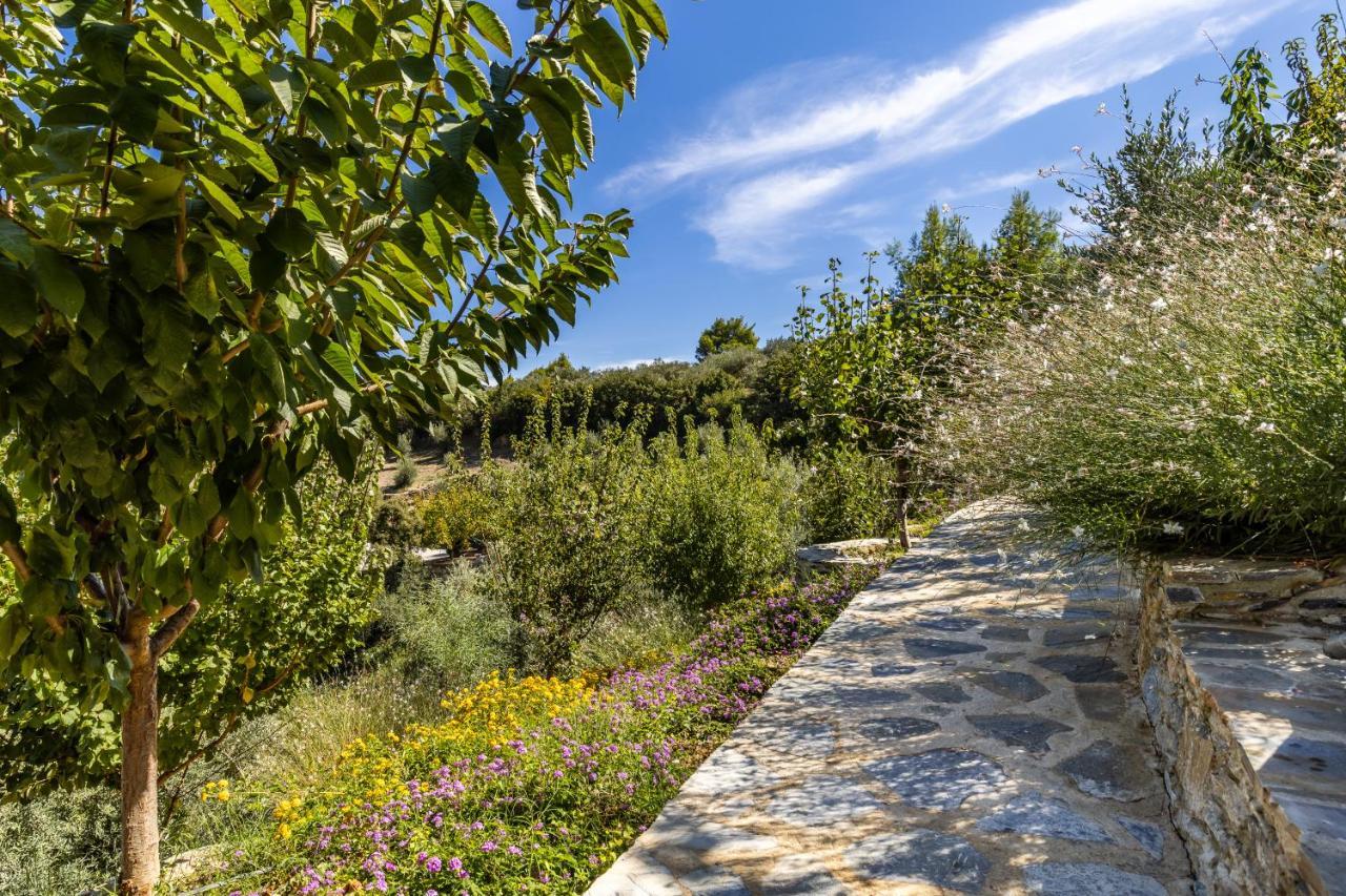 סקופלוס טאון Villa Politimi Luxury Retreat מראה חיצוני תמונה